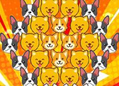 dog-bubble-shooter