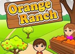orange-ranch