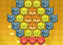 pop-pop-kitties